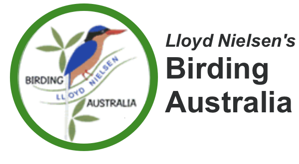 Lloyd Nielsen's Birding Australia